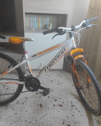 Mtb Usata Torpado Viper ragazzo 24 "
