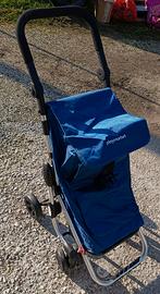 carrello per la spesa 