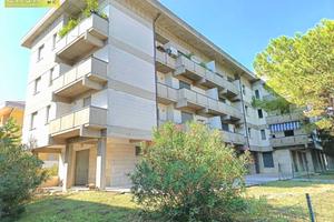 Appartamento - Bellante