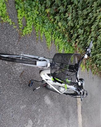 Bicicletta a pedalata assistita con 6 marce