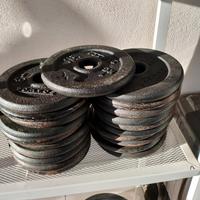  pesi in ghisa decatlon