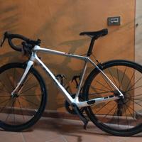 Trek domane