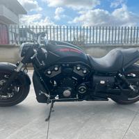 HARLEY VRSCDX