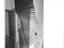 Immagine 13