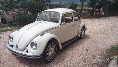 Maggiolino