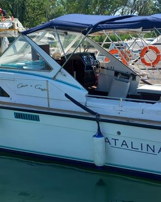 Barca a motore Catalina