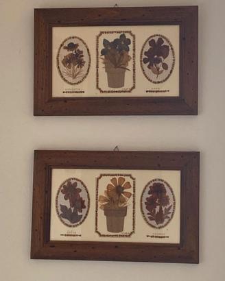 Quadri con fiori secchi