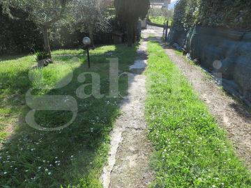 Villa o villino Sarzana [935VRG]