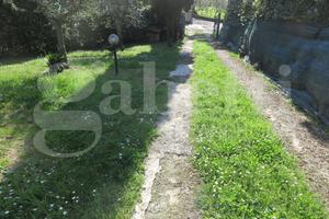 Villa o villino Sarzana [935VRG]