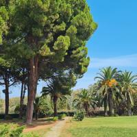 Appartamento sul mare nel villaggio degli ulivi
