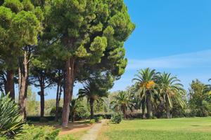 Appartamento sul mare nel villaggio degli ulivi