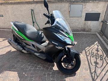 Kawasaki j300