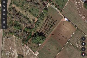 Terreno Agricolo vicinanza al mare