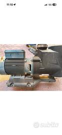 Pompa centrifuga Calpeda MPC 41/A - 1,1 kW PISCINA