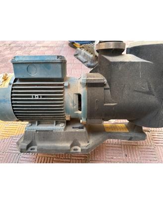 Pompa centrifuga Calpeda MPC 41/A - 1,1 kW PISCINA