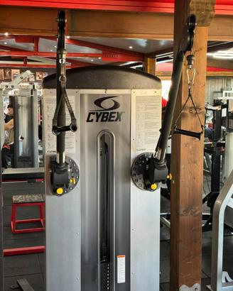 Cybex FT-360 Functional Trainer