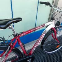 4 City bike unisex 28" con doppio cambio