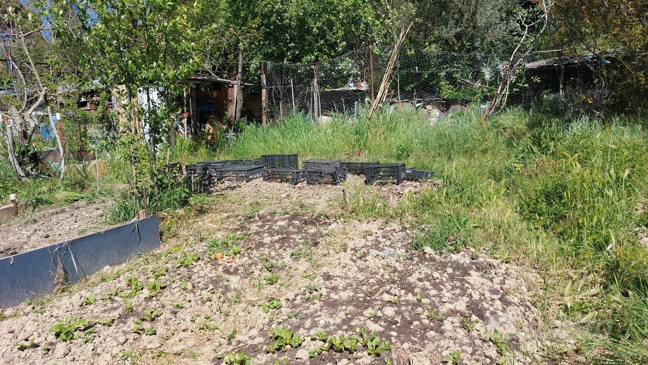 Agricolo a Asciano - Vista 6