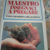 maestro insegnaci a pregare 