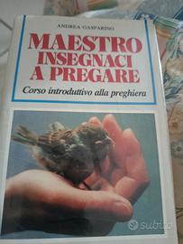 maestro insegnaci a pregare 