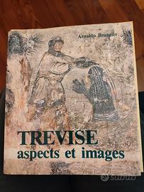 Trevise aspects et images