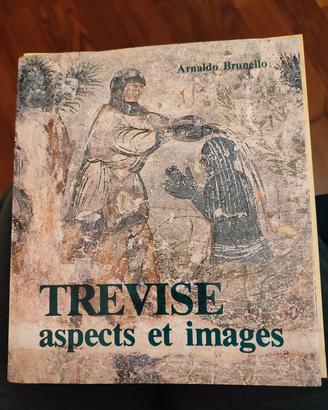 Trevise aspects et images