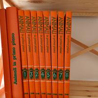 serie di otto volumi più due 