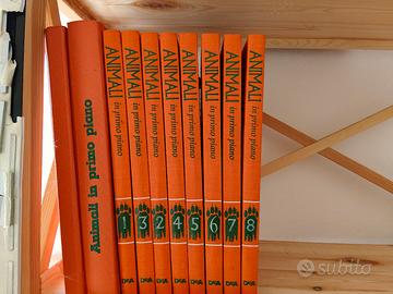 serie di otto volumi più due 