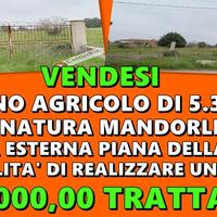 Terreno Agricolo