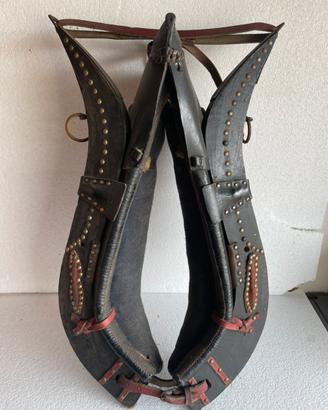 Collane per cavalli e pony