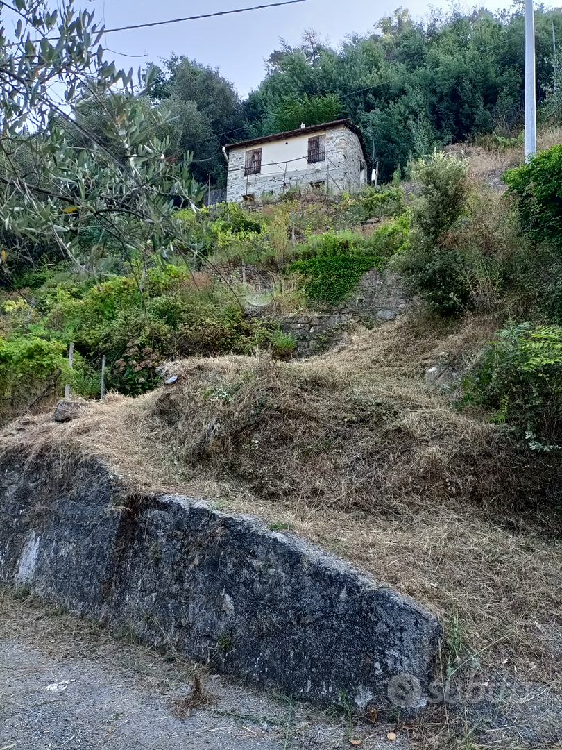 Casone badalucco - Altro