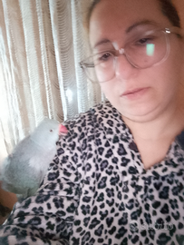 Pappagalli disponibili addestrati su prenotazione