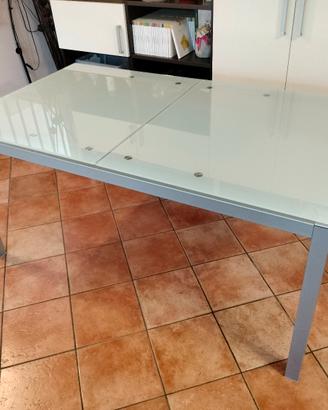 Tavolo in vetro satinato 160x90