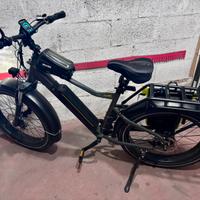 Bici elettrica