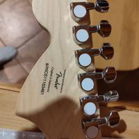 squier stratocaster standard series