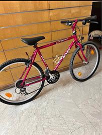 bicicletta con rullo 