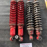 Ammortizzatori ceriani