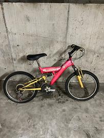 Bicicletta piccola