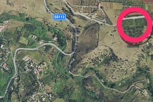 Terreno coltivato terrasini