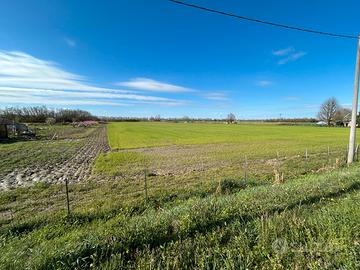 Vendita Terreno agricolo