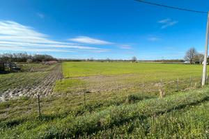 Vendita Terreno agricolo