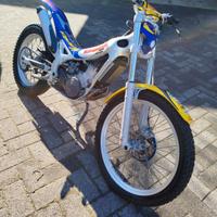 beta rev 3 250 Trial
