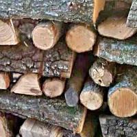 Legna da ardere