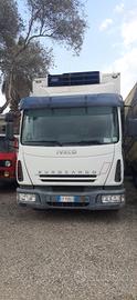 Iveco isotermico con gruppo frigorifero 2005 - 3.9