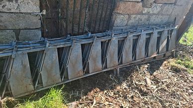 Autocattura per ovini