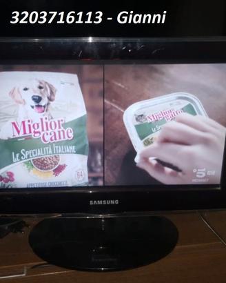 Tv Samsung 19" per appartamento turistico.