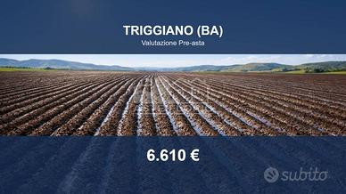 Immobile in asta di 7083 m² a Triggiano
