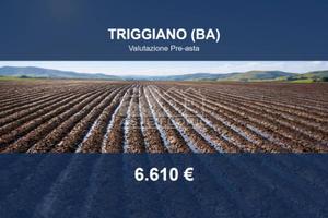 Immobile in asta di 7083 m² a Triggiano