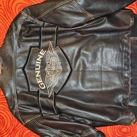 Giubbotto Harley 
