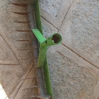 Rastrello aeratore e scarificatore 